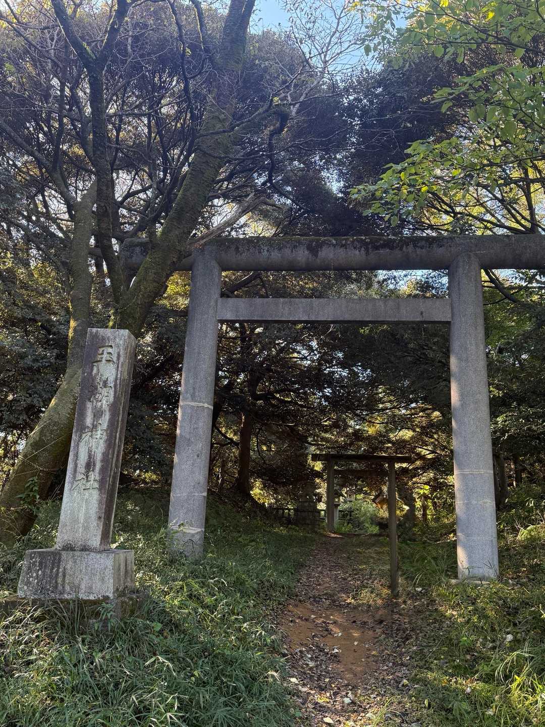 玉胡神社⛩

この鳥居から出てきたところ😅