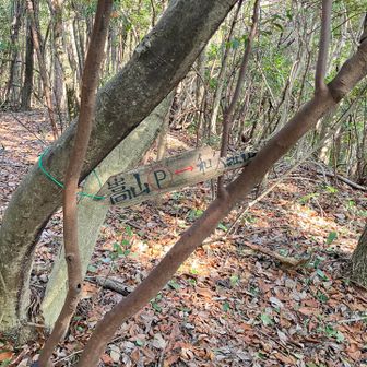 来た道を戻り和久羅山へ