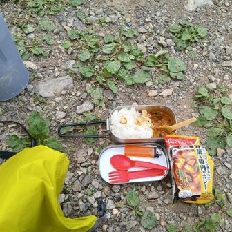 🍛アマノフーズの「野菜と鶏肉のカレー」と炊きたて🍚でいただきます🙏無印のレトルトカレーも旨いけど重さでアマノの🙆‍♂️
寝る前の🪥に無印で買った「歯磨きタブレット」を初めて使ってみましたが🙆‍♂️でした