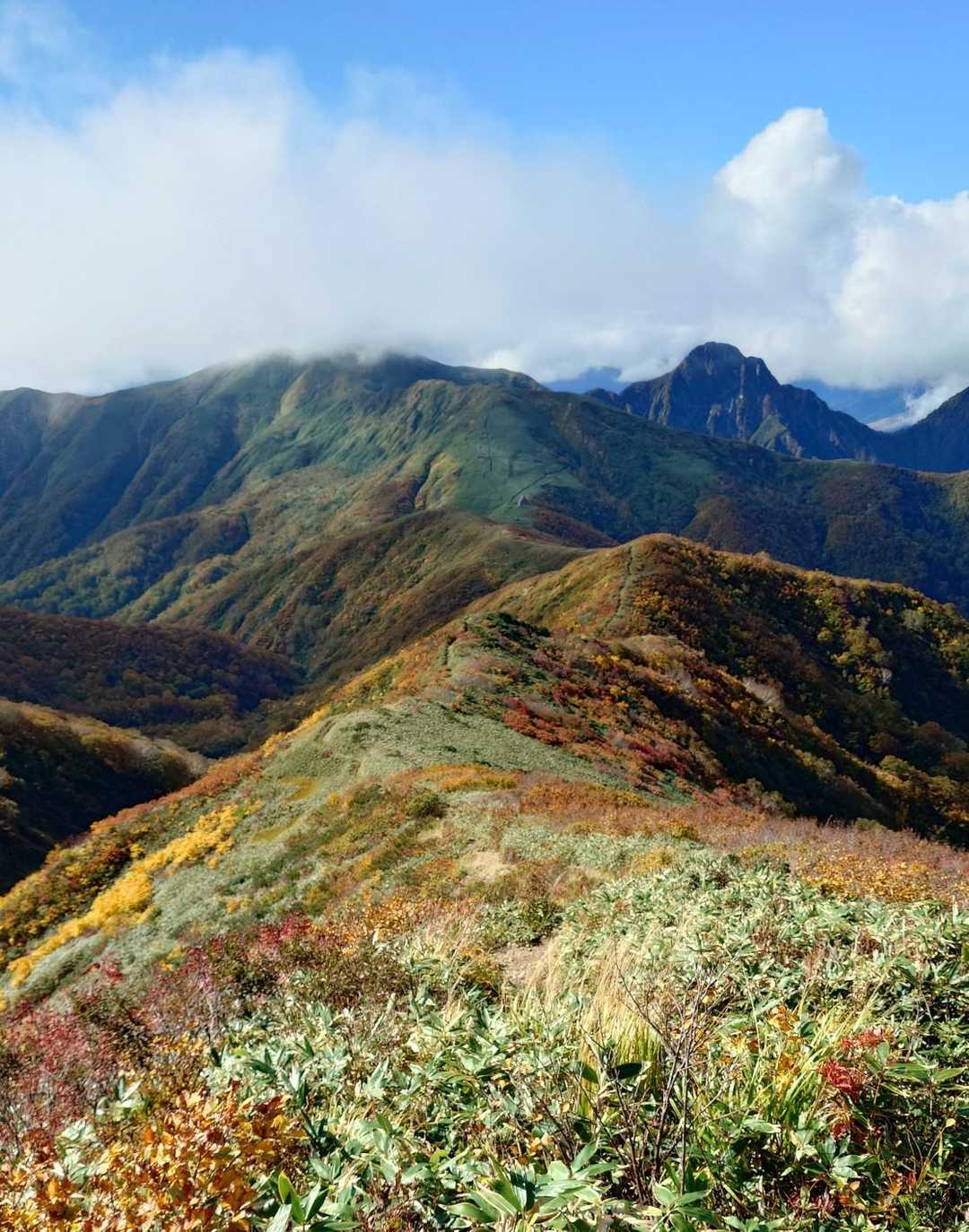 《カバー写真選定》編

「谷川連峰馬蹄形縦走」らしい写真を撮ろうと
強い意気込みを胸に抱いて出発したものの
雨と強風予報のため2日目の縦走を断念し
エスケープルートで無念の下山のため
2日目はカバーとなる写真は存在せず

1日目
「朝日岳」から「清水峠」への尾根道
雲に覆われながらも爽快な青空が広がり
陽射しを浴び色とりどりに輝く「草紅葉」
正面には「大源太山」「七ツ小屋山」
「白崩避難小屋」などが一望出来る
「馬蹄形縦走路」を物語っている
素敵な写真ではないかと判断し
今回のカバー写真に選定させて頂きます🥇


130枚に及ぶ写真
そして
全ての写真にコメントした長い文章

最後まで根気を持って読んで頂き
有り難う御座いました

　　　　　　　　　ー　完　ー