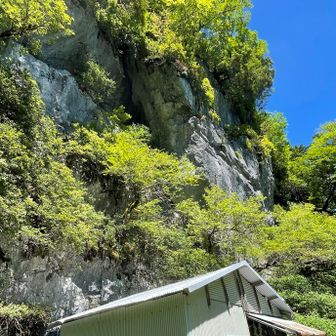 頭上にはおっきな岩🪨の岩肌が