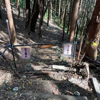 坊主山までのルートは迂回あり