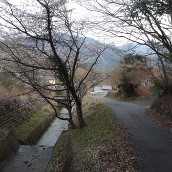 夏明登山口に降りて来ました。