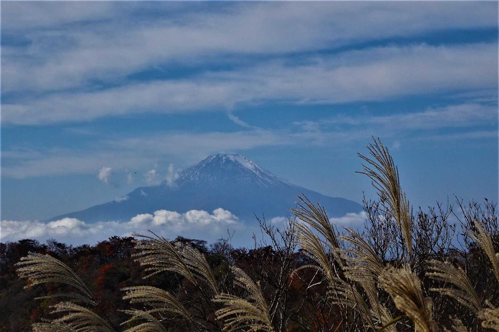 塔ノ岳大倉尾根コースの写真