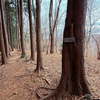 大久保山登頂⛰️この下山コース、YAMAPでは実線ルートですが、なかなかの急下りでした💦