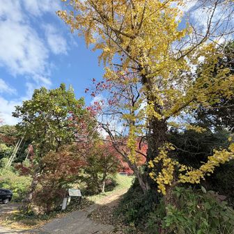 承福寺からのスタートです♪
ワクワク☺️