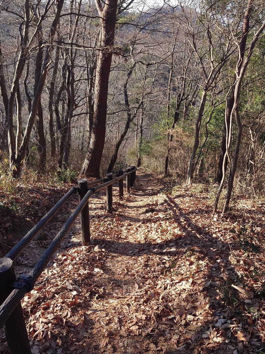 桜峠🌸からの下り階段
