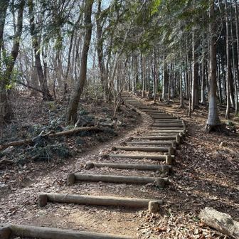 登りやすい階段