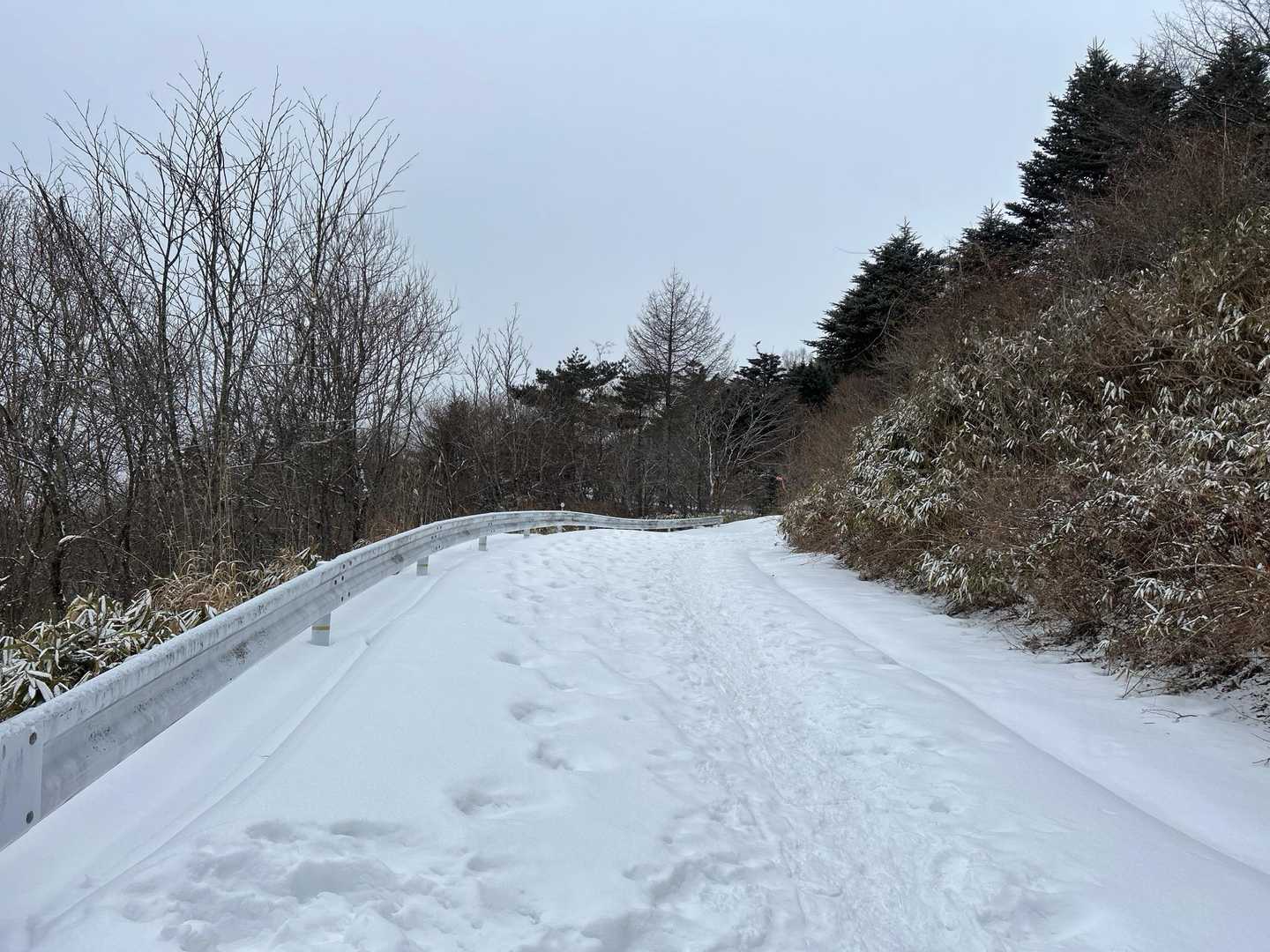 高嶺山登山道入口-長者峰 往復コースの写真