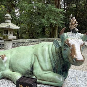 こちらも縁起が良さそう