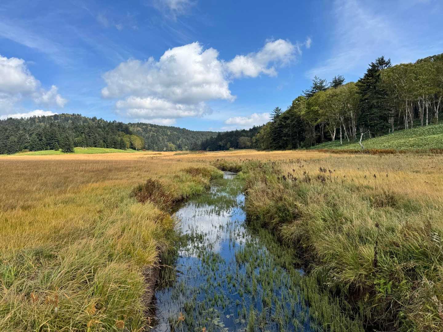 大清水バス停-三平峠-尾瀬沼-燧ヶ岳 往復コースの写真