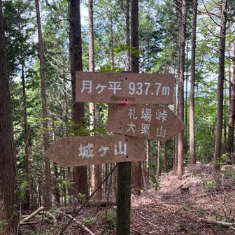 月ヶ平到着