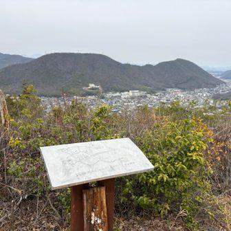 野一色権現山
正面が舟伏山