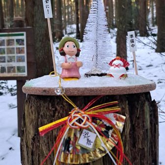 迎春😊
お邪魔します😊