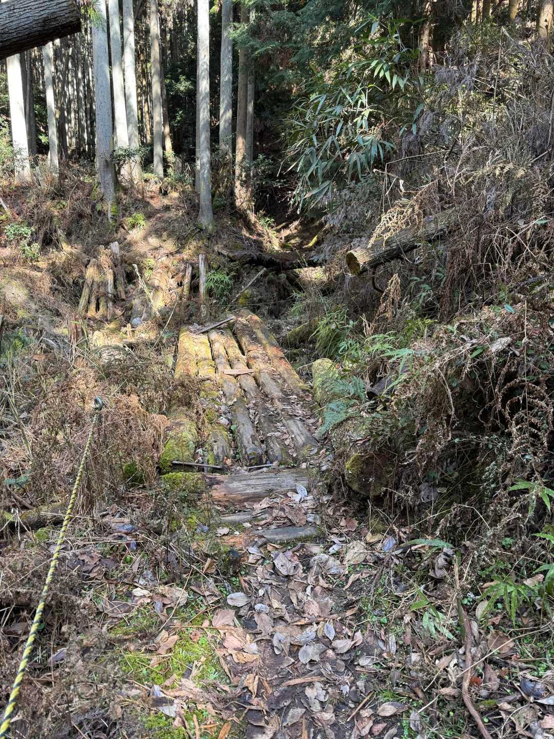 今だに苦手なタイプの橋