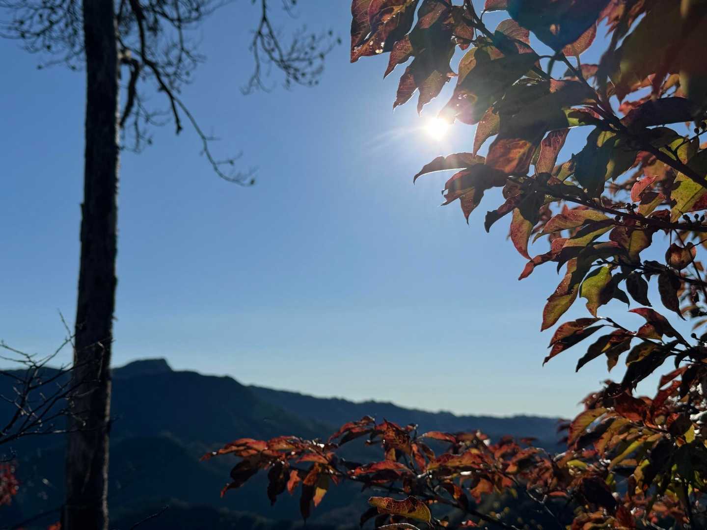 🍁と☀️