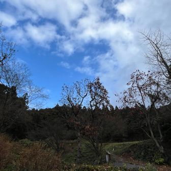 しばらくすると青空が！