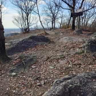 惣山山頂到着！　
現在　1月1日 11時11分 　ってか！

狙って歩いたわけでもなく、
気にしてたわけでも無いのですが、
まさに偶然の山頂到着時間になりました。
縁起良しとしておきましょ（笑）