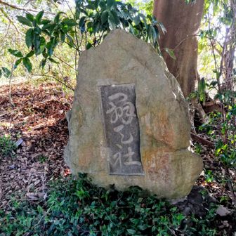 弁天山はこの辺りかな。
標識はなしです