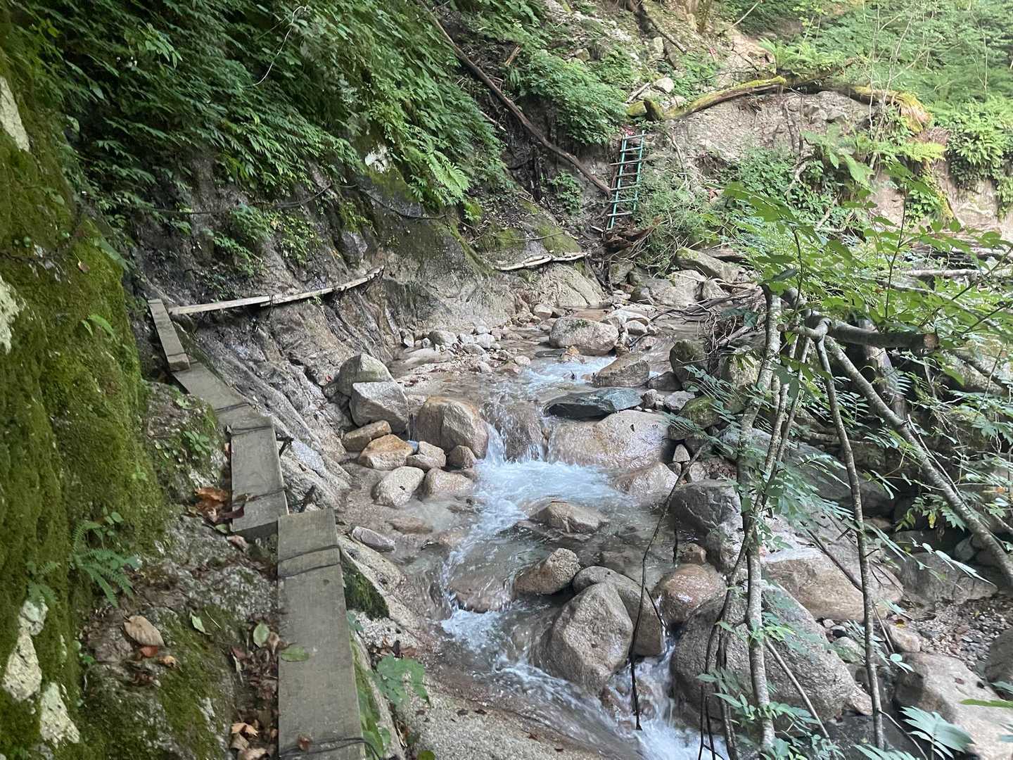 水平歩道的な