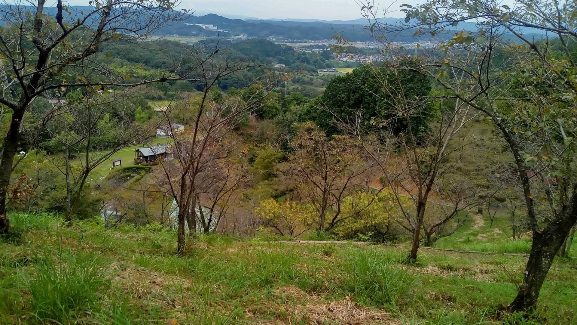 古城山登山口-古城山 往復コースの写真