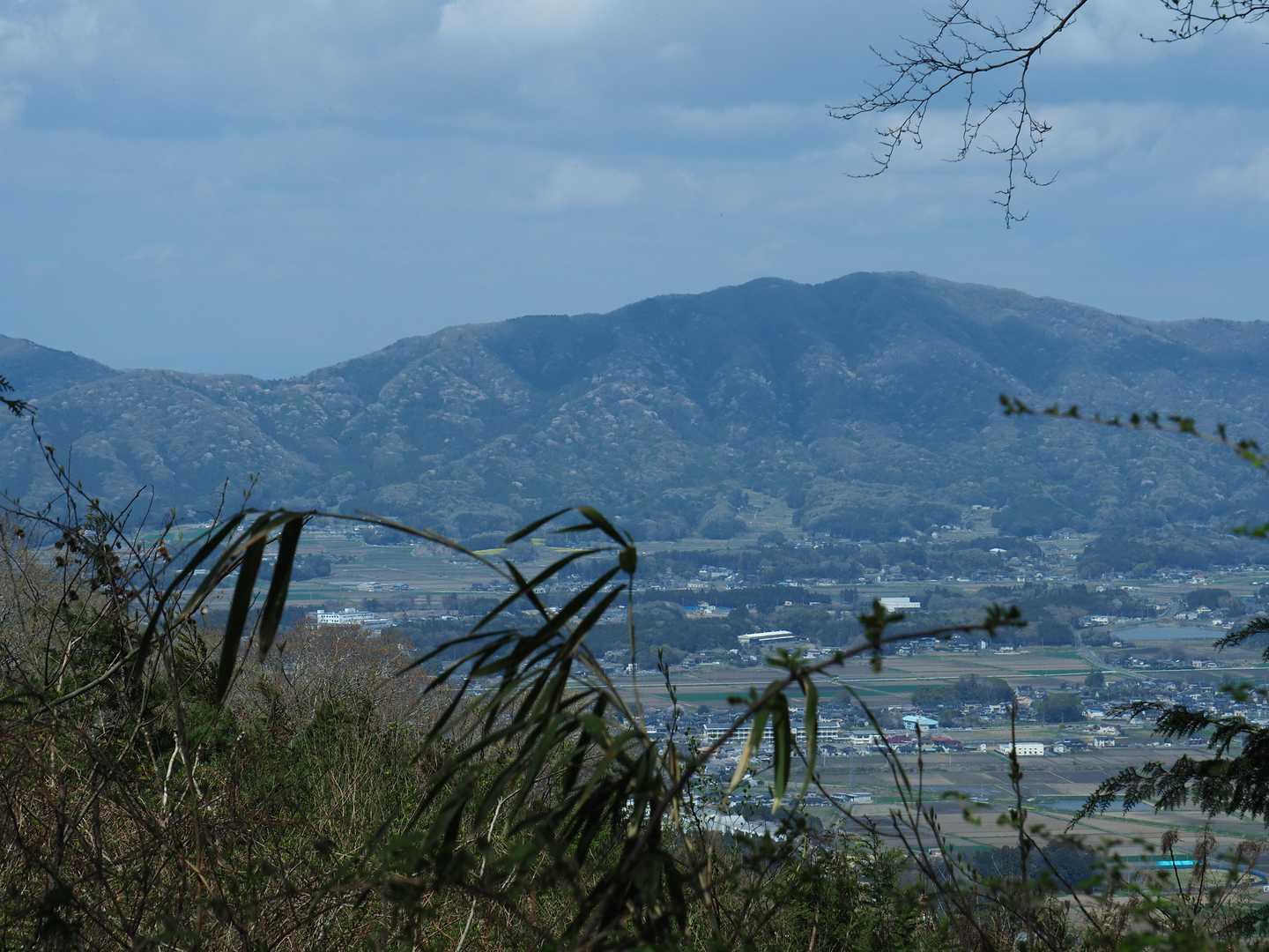 高峯
この時期は人が多い