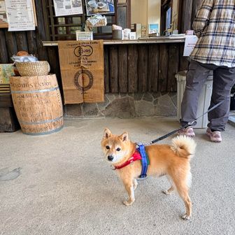 ギリ間に合った！つみきー！久しぶり✨
