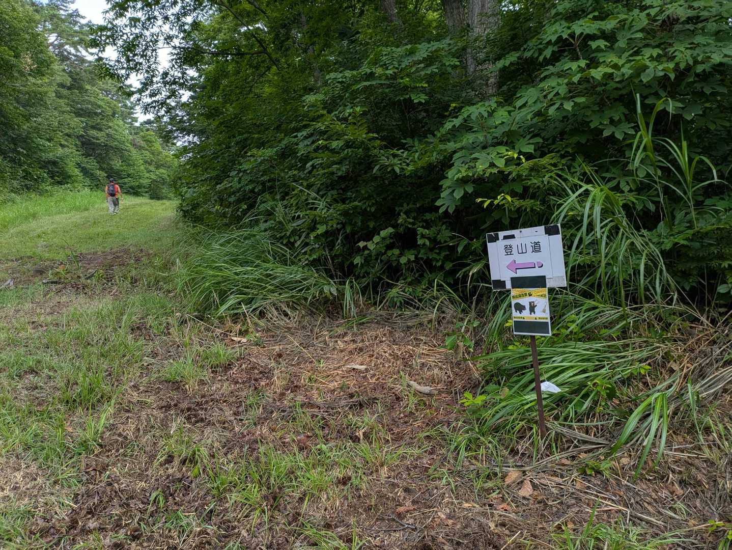 途中ゲレンデ脇から登山道に入っていきます