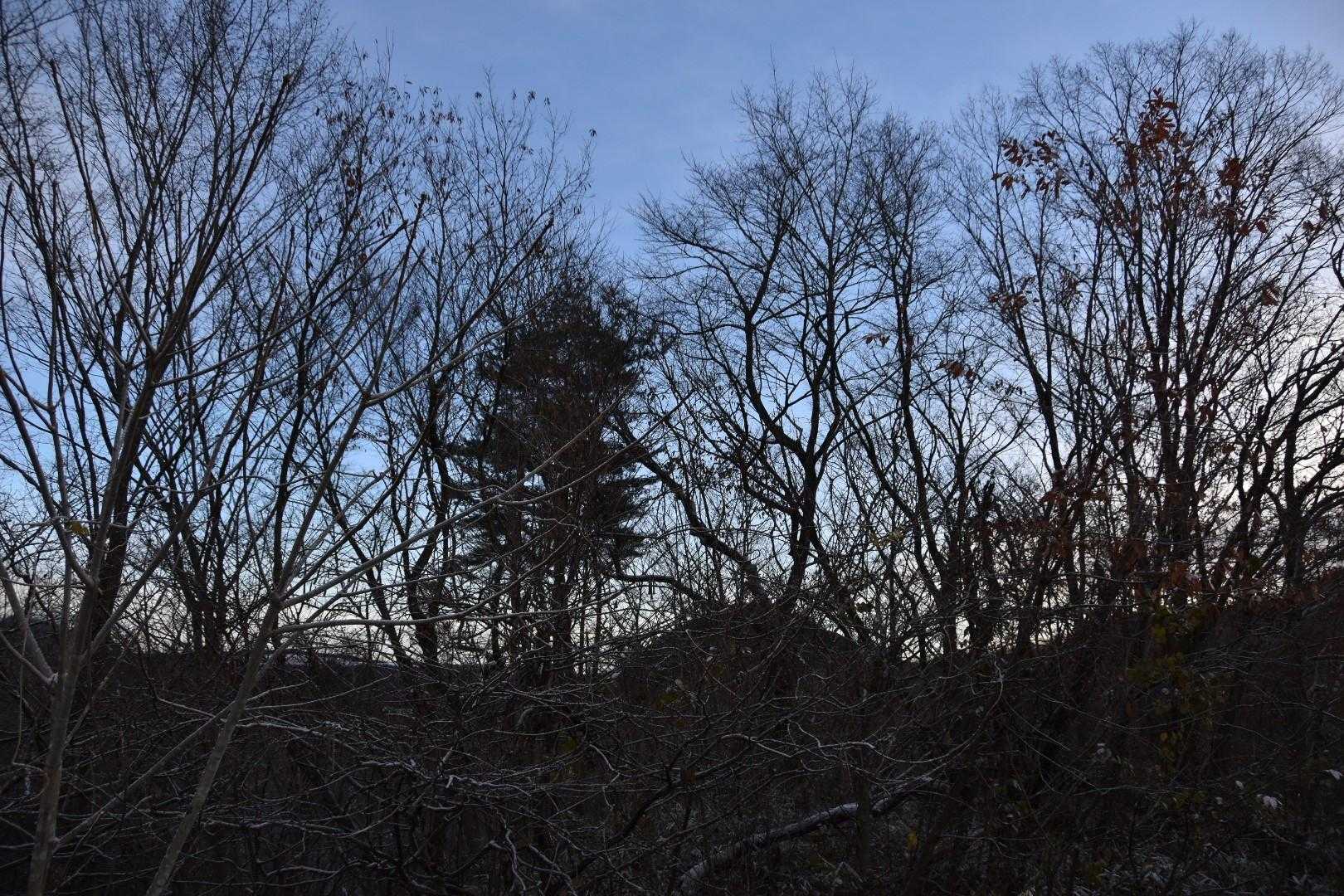 吹雪の山形を抜けて宮城へ