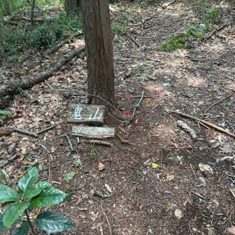 山頂看板、地面に😥