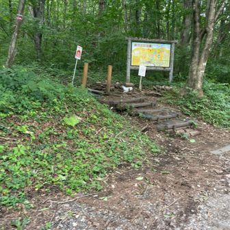 ここから、登ります