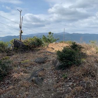 矢岳・城山 矢岳に着いた