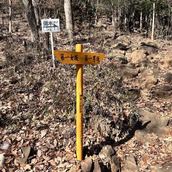 落ち葉もあるので男坂の降りはなかなかチャレンジングかも