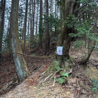 ここから下山で南側への道を下るのでが、少し先の愛宕山、観音岳の山頂は訪れることとしました。ところが愛宕山への登り口にはロープがあり、倒木があり私有地につき通行禁止とのこと。横手に男性がいるので、ここは避けて反対側の登り口へ行ってみましたら同じロープが。いたし方ありません。