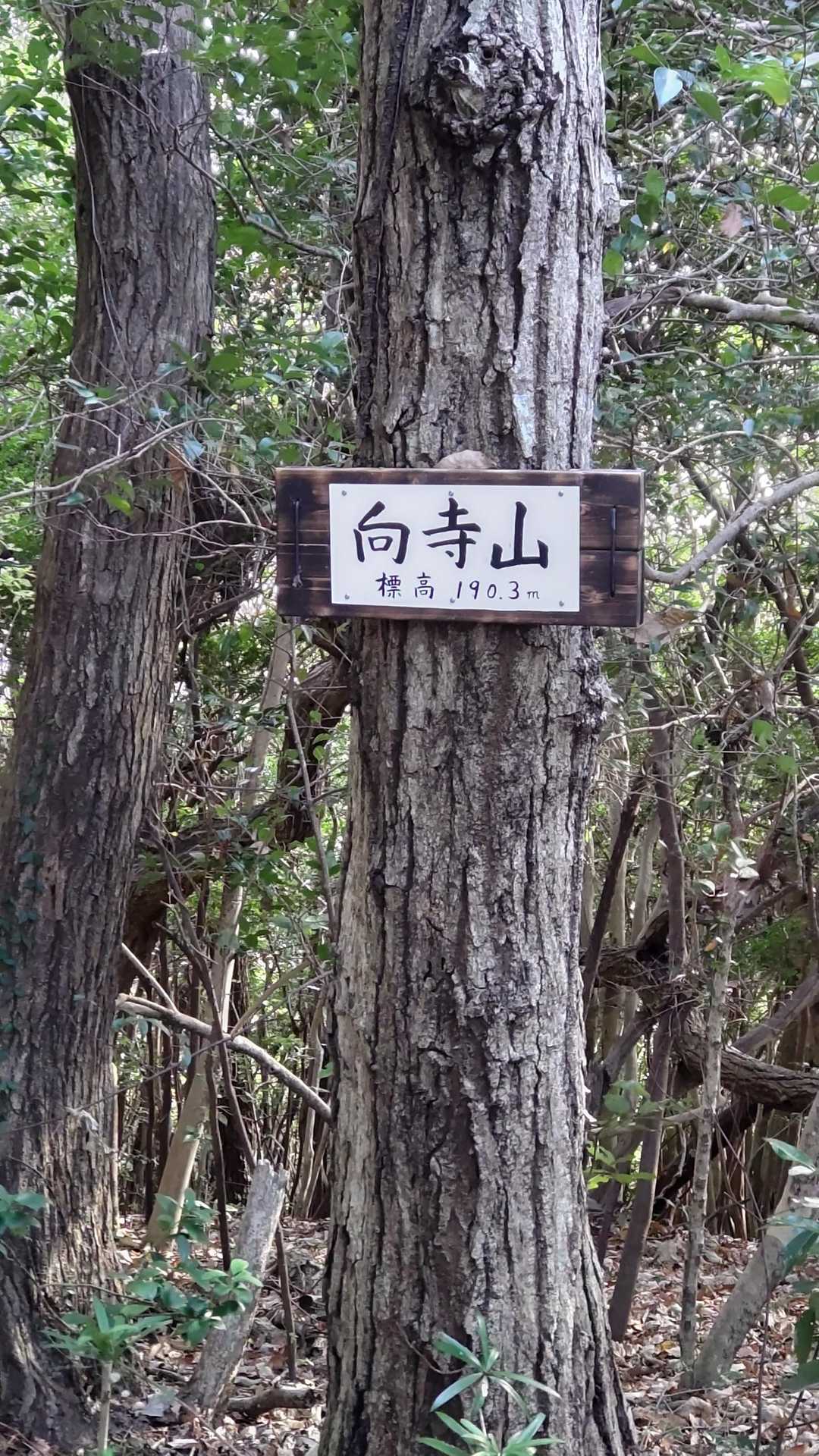 今日はここまで。