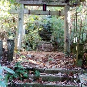 赤字で「河内七面山」鳥居。ただならぬパワーを感じてか、写真もぶれる