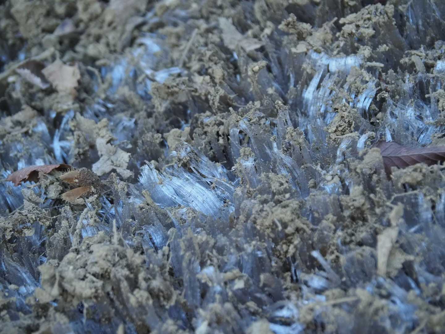 魚眠荘前バス停-雪頭ヶ岳 往復コースの写真