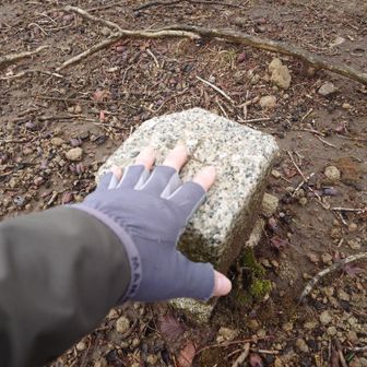 三等三角点「鷹巣」タッチ♪