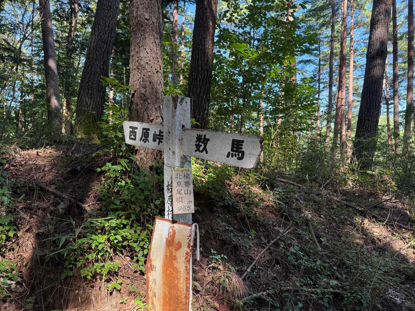 最初の分岐　槇寄山北東尾根