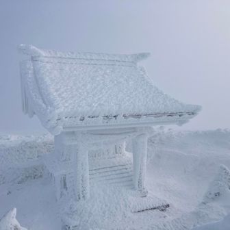 社も真っ白⛄️