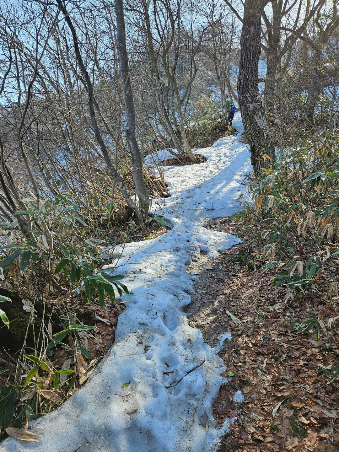 残雪あるけど歩きやすい