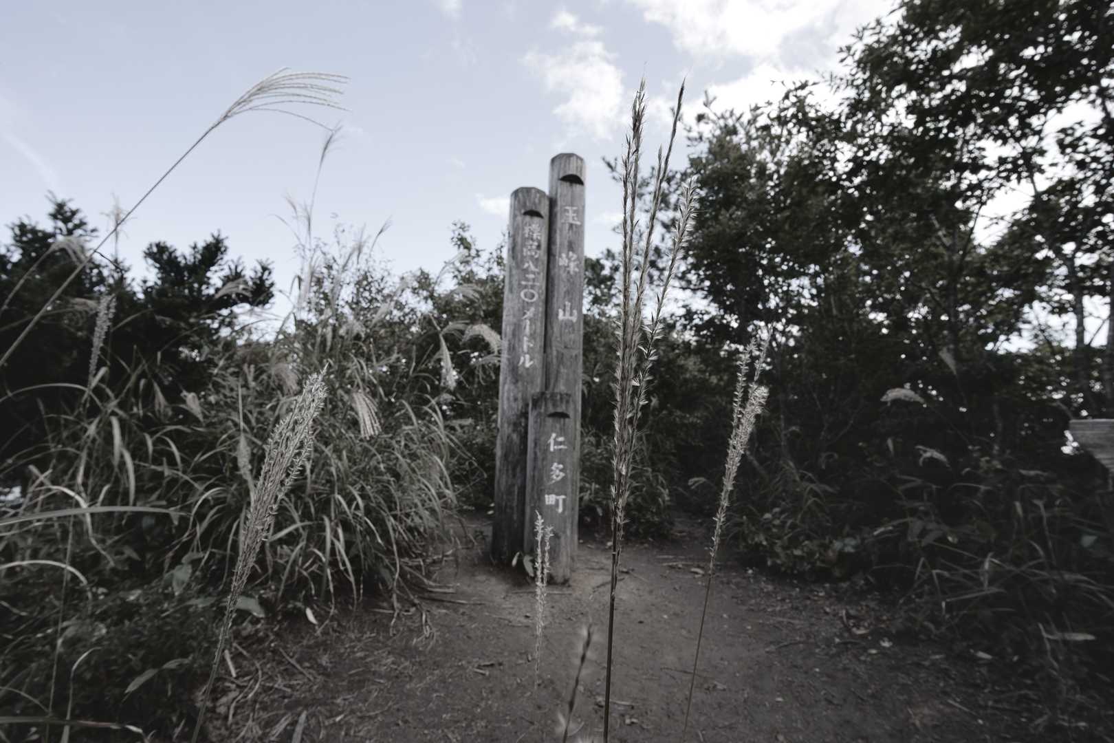 玉峰山 周回コースの写真