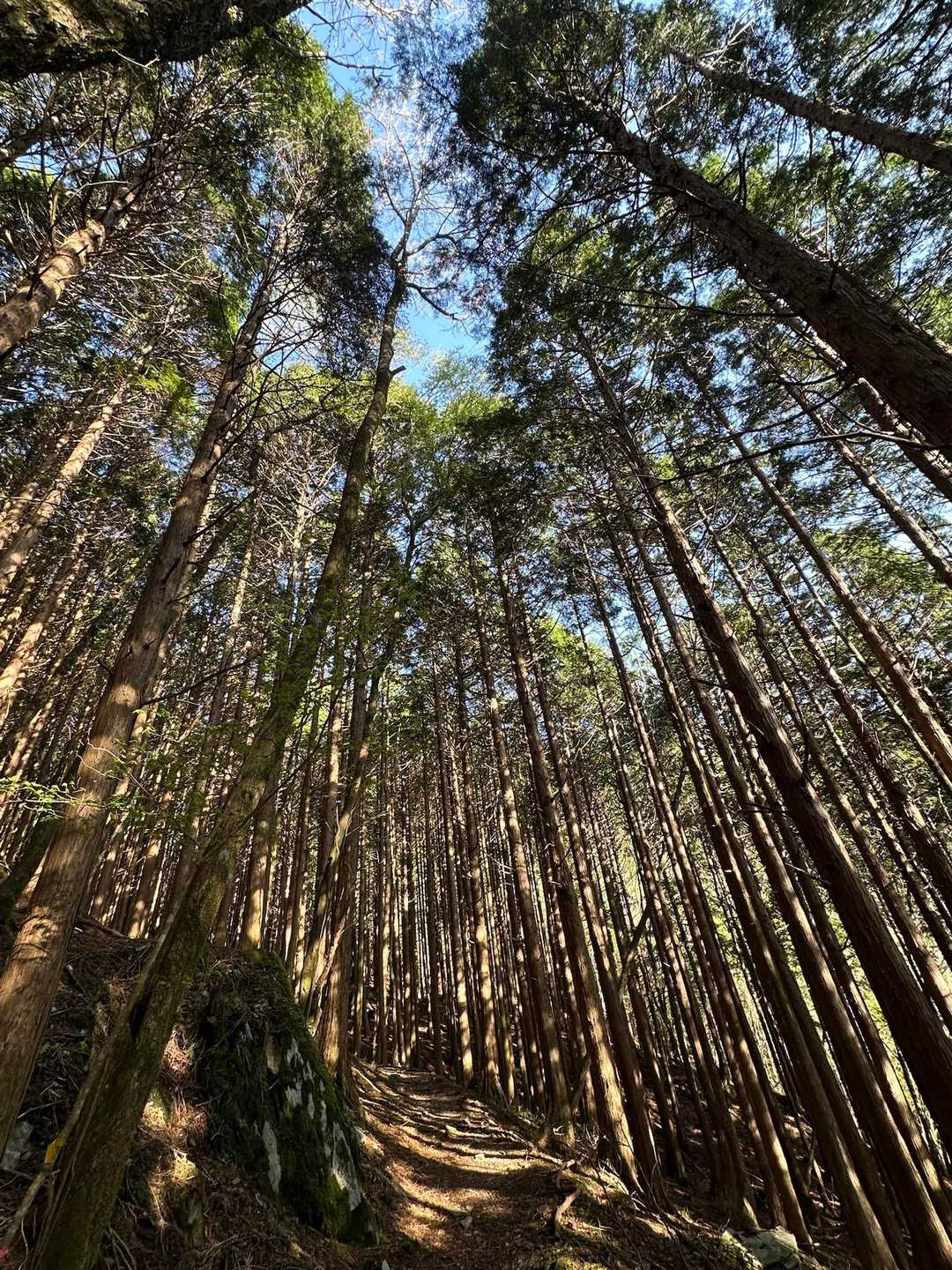 大永山トンネル口-綱繰山 往復コースの写真