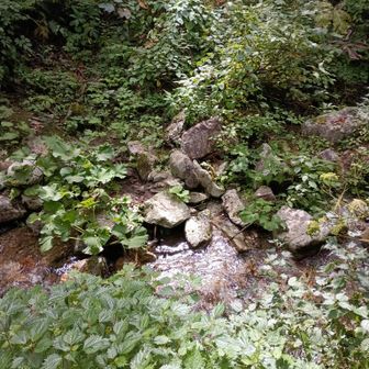 初っ端（オーラス）で沢渡です。私は初っ端に靴下をお湿りさせてテンション⤵