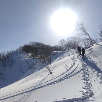 ビクトリーロード