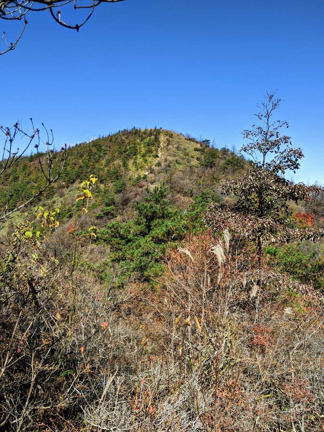 平沢山の写真