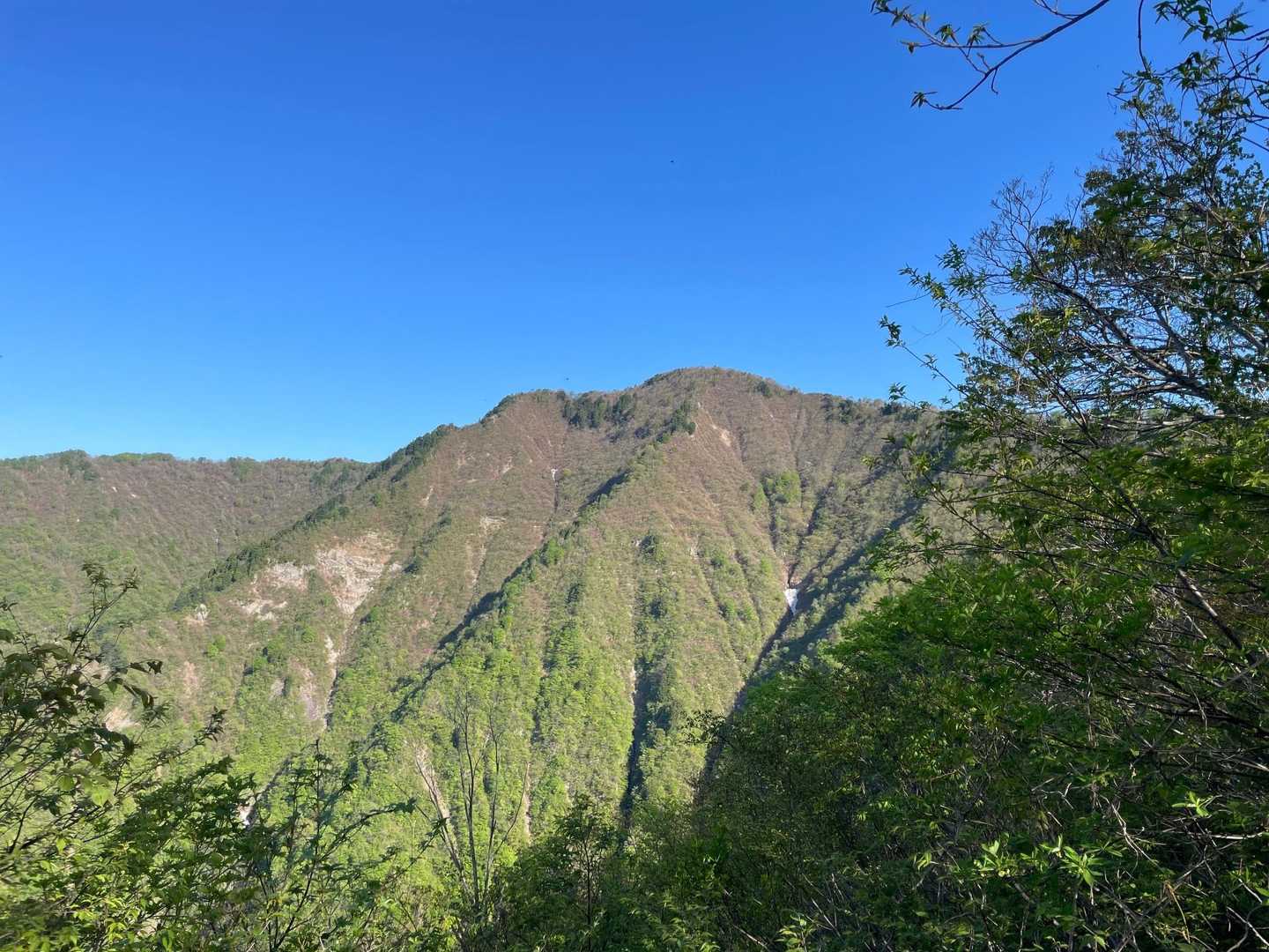 口三方岳 往復コースの写真