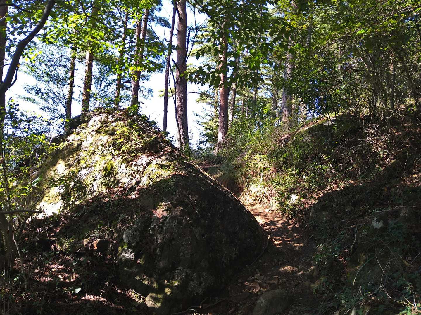 新倉富⼠浅間神社・新倉山 往復コースの写真