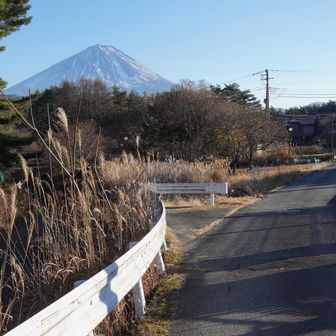 下りてきました、すっかり晴れてる
