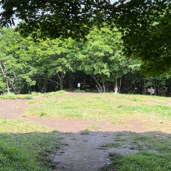 お地蔵さままた今後〜✨
今日はありがとうございました😊